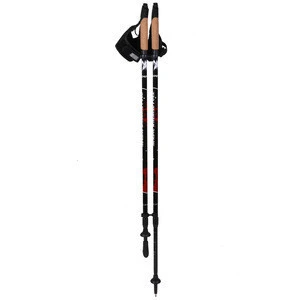 2020 spring hot sale outdoor fitness equipment nordic walking pole/ two sections alum 6061 walking stick