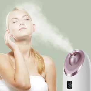 2021 new arrival  Professional Electric Cold and Warm Facial Steamer Nano Mini Facial Mist Sprayer