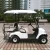 Import 2+2 electric golf cart/4 passengers electric golf cart/2 seater mini golf cart from China