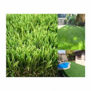 25mm 3USD 12 Stitches Rate Good Price Artificial Landscape Turf