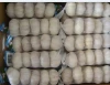 4- 6 cm Chinese Fresh Garlic with High Quality for export