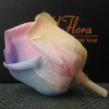 5-6cm Colorful Wholesale High Quality Decorative Forever Eternal Everlasting Preserved Rose Flower Head Bud Box Roses 60+ Colors