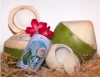 520ml coconut drink Miramar pure in Tin can OEM
