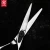 Import 5.5 inch XB06-55Z/V new fashion design beauty barber scissors flat scissors tooth Hair scissors from China