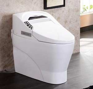736A(S) smart toilet new model full intelligent toilet bidet toilet seat