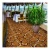 Import 80% Wool and 20% Nylon  Axminster carpet meeting room carpet from China