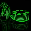 AC220V SMD 5730 Single Color Waterproof silicone led neon flex light
