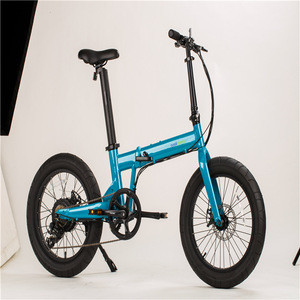 Affordable and Compact Velo Electrique Fat Tire Electric Folding Bicycle for Off-road Enthusiasts