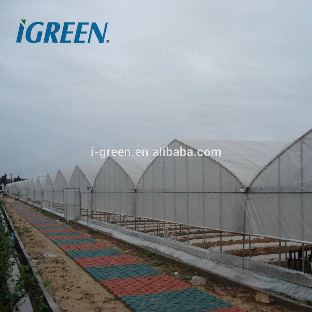 Agricultural greenhouses for tomato for sale