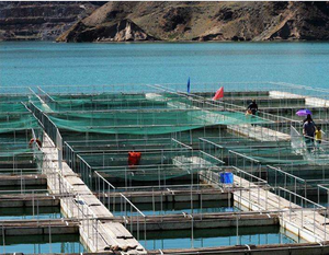aquaculture system deep sea fish net cage farming equipment