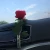 Import Artificial Rose Glass Car Air Freshener from China