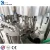 Import Automatic Monobloc glass bottled orange / mango juice Filling Machine / processing plant from China