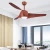 Best Brand Celling Fan DC Silent Motor Cooling Fan Plastic Ceiling Fan With Light And Remote