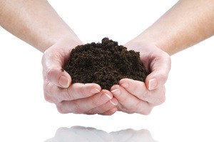 Best organic fertilizers soil conditioner granules bio organic fertilizer prices