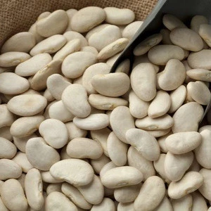Best Price Large Lima Beans