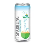 Best Soda Coconut Sparkling Water in can 320ml