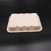 biodegradable disposable fast food packaging trays
