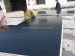 black film faced plywood price / marine plywood /shuttering plywood price