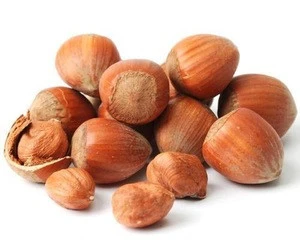 Blanched Hazelnuts / Organic Hazel Nuts