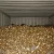 Import BRASS HONEY SCRAP FOR SALE IN BULK from Austria