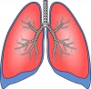 Bronchial Asthma - Ayurvedic Medicine - Organic Herbal - Assured Result - Bronchodilation