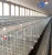 Import BT Factroy Hot-sale high quality galvanized wire mesh quail cages for sale from China