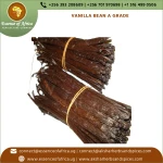 Buyer Label Available Pure Whole Grade A Vanilla Beans