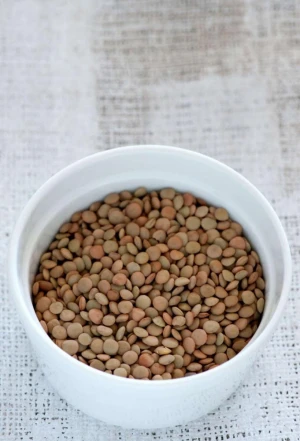 Canned pulses 400g Premium quality Lentils