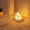Cartoon gift USB rechargeable LED table lamp aromatherapy panda night light