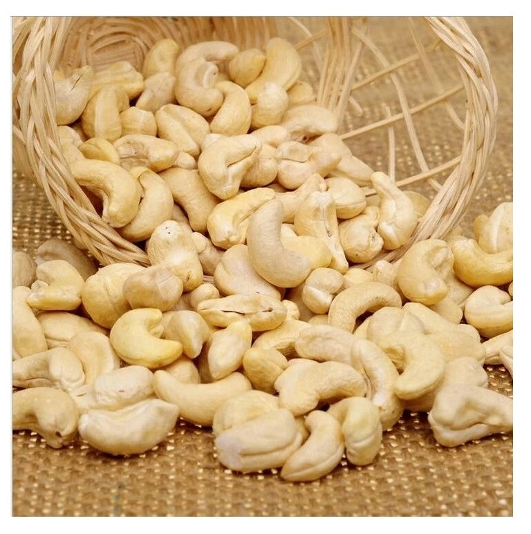 Cashew Nuts WW320 / WW240