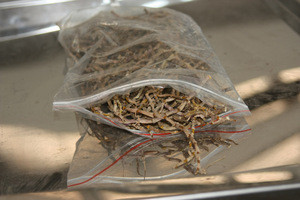 CE certified cassava root cutting machine licorice root slicer herb root cutting machine