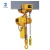 Import Chain type 2 ton electric hoist from China