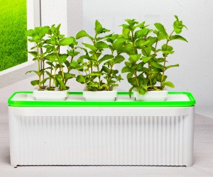 Cheapest stackable plastic garden pots hydroponic grow pots