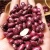 Import China Bean High Quality Speckled Kidney Beans from China