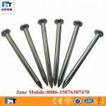 China concrete steel nails