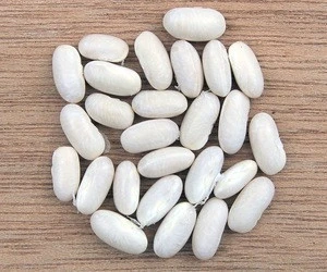 China new crop navy white kidney bean for sale