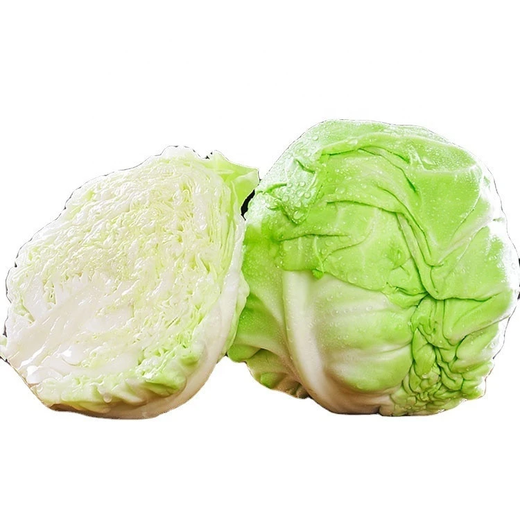 China sale quantity delicious big round green cabbage