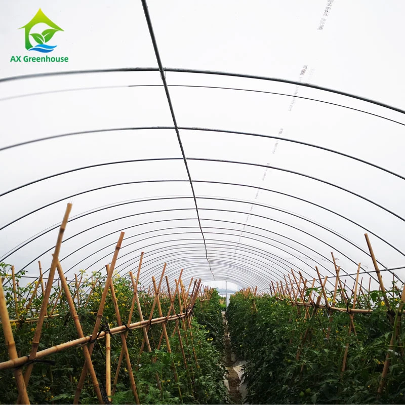 chinese single-span greenhouse agricultural greenhouse greenhouse film