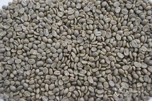 COLOMBIAN COFFEE BEANS | RAIN FOREST ALLIANCE