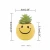Import Cure Cute Emoticons Indoor Artificial Faux Potted  Variegated Plants Haworthia Succulent Plant Artificial Cactus Plants from China