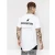 Import Custom Hip Hop Muscle Fit Long Tail Curved Hem white Cotton Printing blank men T shirt from China