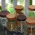 Import Customized wholesale Eco-Friendly glass jars with wood lid from China