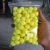 Delrin balls 17mm 17.27mm 0.68 Calibre paintball ammo balls for paintball