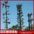 Import Disguised Pine Tree  Telecoummunication  Tower for Broadcasting Industry from China