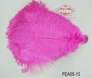 Dyed Pheasant Feathers