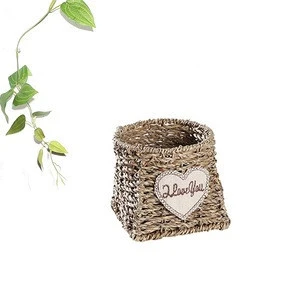 eco-friendly modern new fashion home decoration hanging garden wall seagrass flower pot hanging basket 13x13x32cm