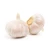 Import Factory Directly selling   normal  Garlic  high quality for export fresh garlic normal white from China