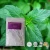 Import Factory provide 10g-20g  free sample pure and natural menthol crystal used for made medicine for tobacco flavor from China
