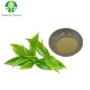 Factory supply 95% Tea Polyphenols Natural Green Tea Extract Powder Tea Polyphenols 10%- 98%