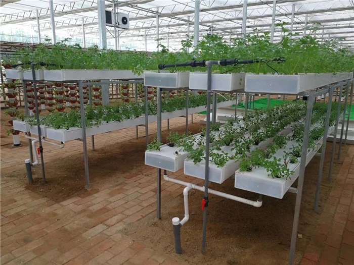 Factory Supply Customizable Long Service Life Pipeline Hydroponics Soilless Cultivation High-Tech Greenhouse